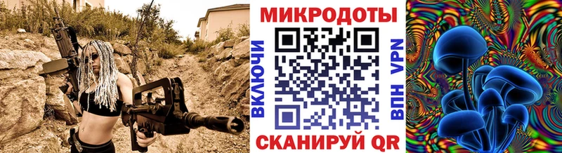 Псилоцибиновые грибы Psilocybe  Полевской 